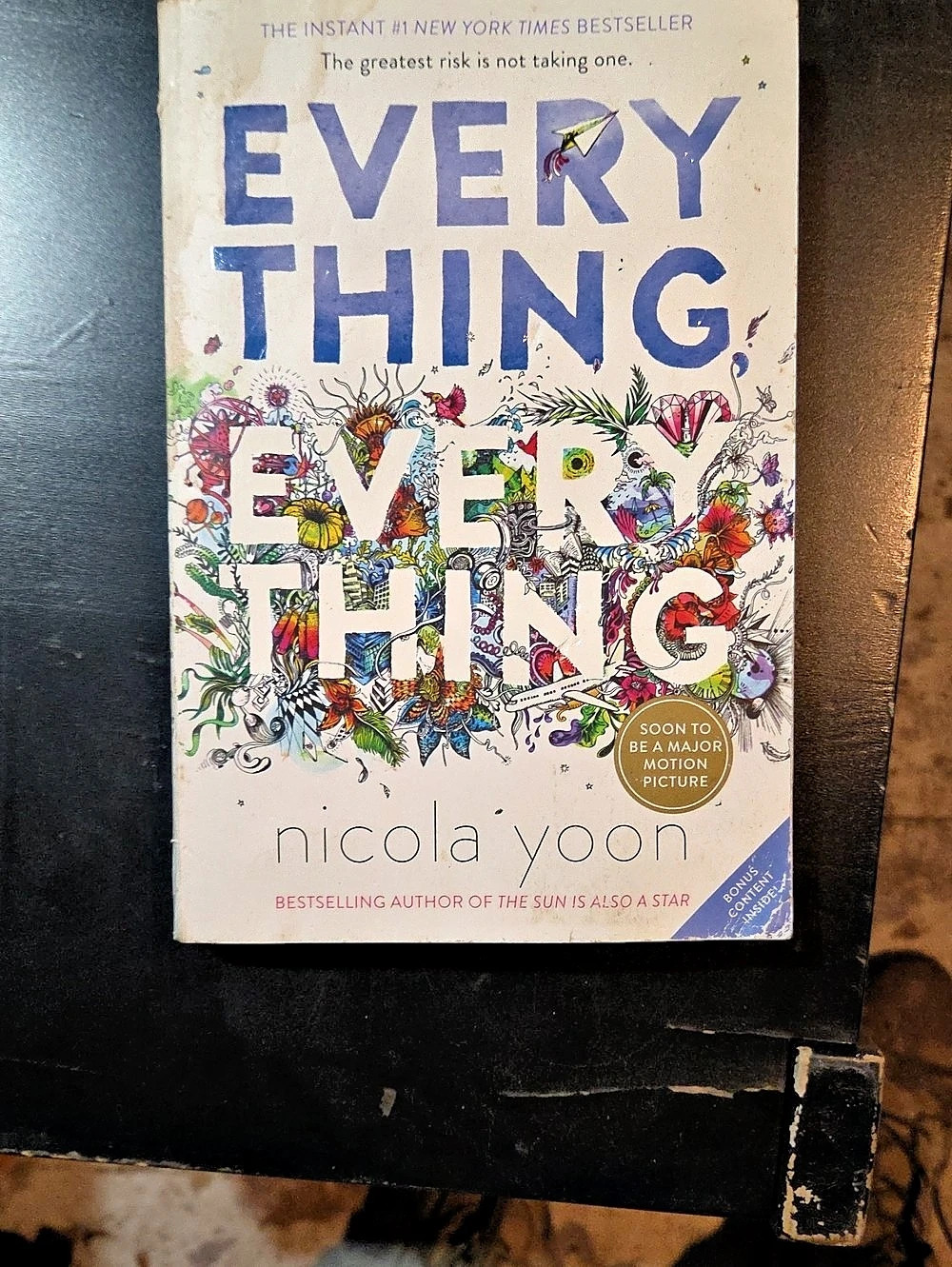 Ember Everything, Everything by Nicola Yoon Paperback Book